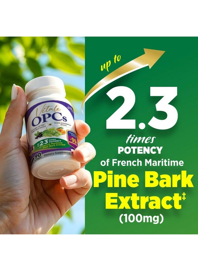 LABO Nutrition - LABO Nutrition Vitale OPCs | Premium European Grape Seed Extract with Aronia, Citrus Bioflavonoids | Supports Circulation, Skin Health and Cellular Protection | 100% polyphenols 90 Softgels - Image 1