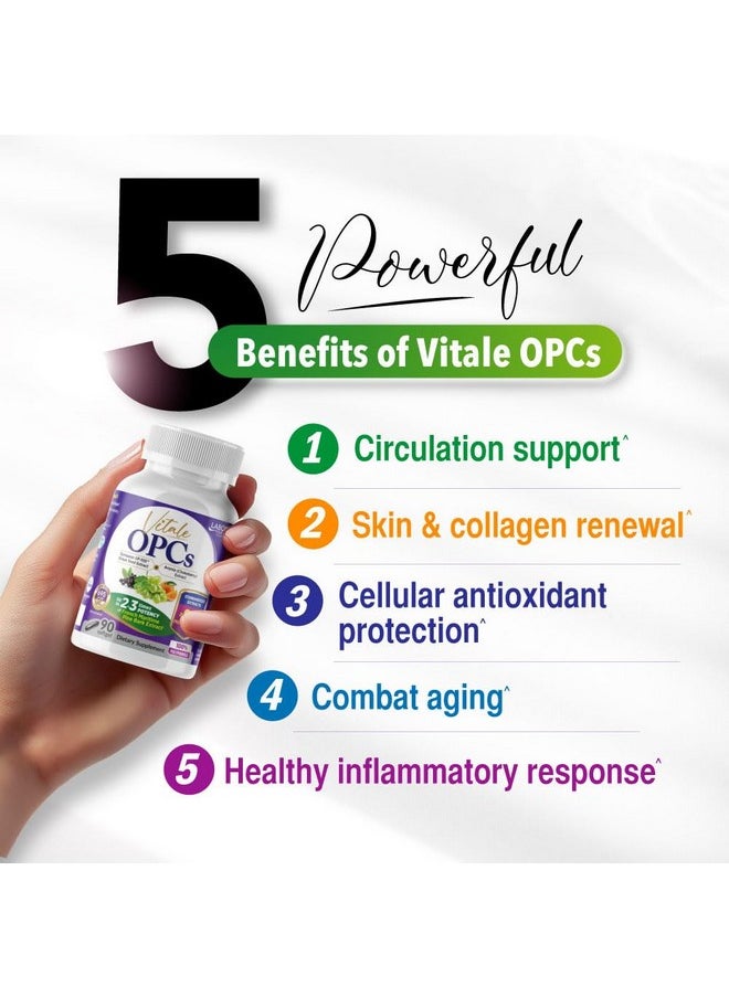 LABO Nutrition - LABO Nutrition Vitale OPCs | Premium European Grape Seed Extract with Aronia, Citrus Bioflavonoids | Supports Circulation, Skin Health and Cellular Protection | 100% polyphenols 90 Softgels - Image 1