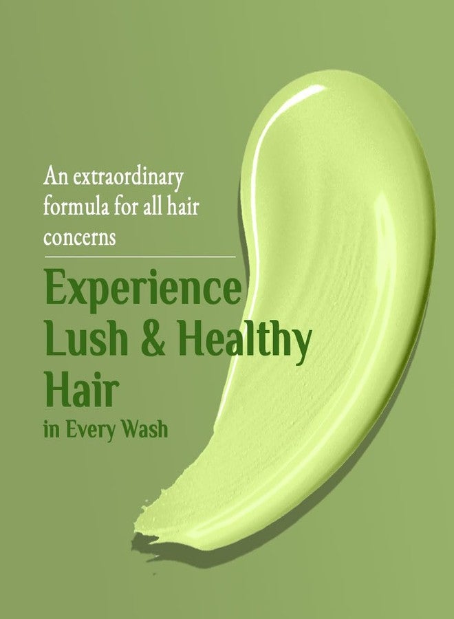 Richfeel Green Apple Shampoo For Dry & Damaged Hair | Anti Dandruff | Promotes Healthy, Shiny and Glossy Hair | Nourishes Scalp | Makes Hair Soft & Smooth | All Skin Types | 500 ml (Pack of 2) - Image 4