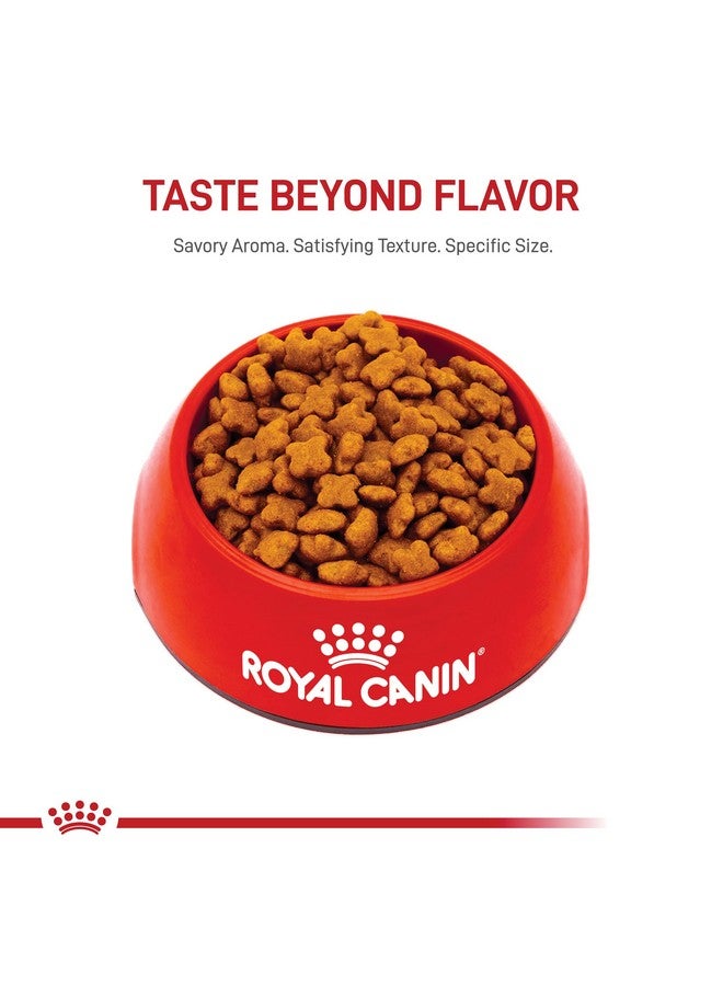 ROYAL CANIN Jack Russell Terrier Adult Dry Dog Food, 10 Lb Bag - Image 5