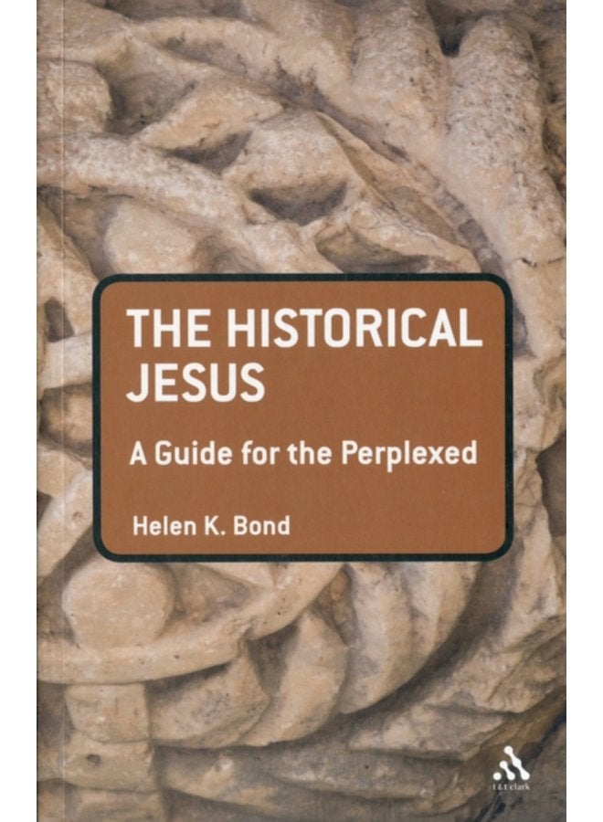The Historical Jesus A Guide for the Perplexed - Paperback