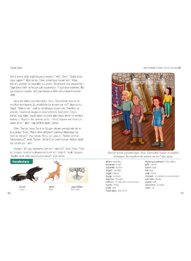 Intermediate Turkish Short Stories - Based on a comprehensive grammar and vocabulary framework (CEFR B1) - with quizzes , full answer key and online audio  - Image 3