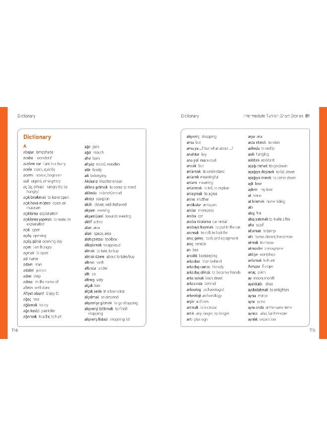 Intermediate Turkish Short Stories - Based on a comprehensive grammar and vocabulary framework (CEFR B1) - with quizzes , full answer key and online audio  - Image 5
