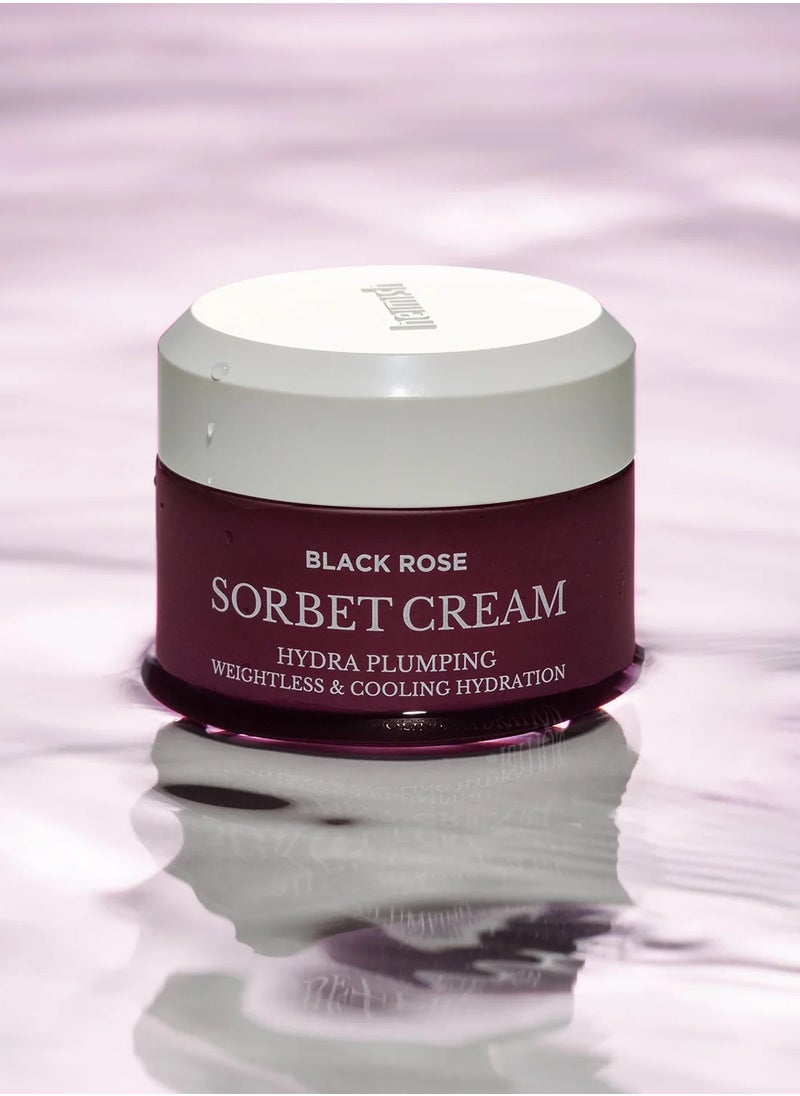 Heimish Black Rose Hydra Plumping Sorbet Cream 50ml  - Image 1