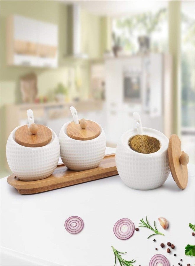 NAIDEV White Ceramic Condiment Jar Storage Best Pottery Cruet Pot with Wooden Spoons Ceramic Sugar BOL Salt Jar with Spoon, Lid, Wooden Coaster, White Spice Serving Sugar, Pepper, Spice (3 pcs) - Image 2