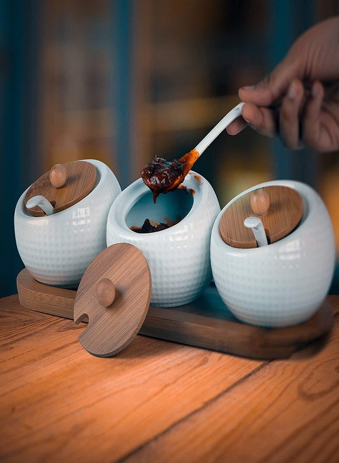 NAIDEV White Ceramic Condiment Jar Storage Best Pottery Cruet Pot with Wooden Spoons Ceramic Sugar BOL Salt Jar with Spoon, Lid, Wooden Coaster, White Spice Serving Sugar, Pepper, Spice (3 pcs) - Image 3