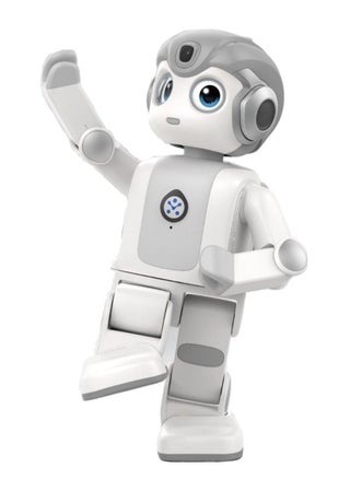 Programmable Intelligent Humanoid Robot For Entertainment Education Companion New year Gift Present Toy robot - pzsku/Z444E1ACD9EC90D0F4FA0Z/45/_/1705507239/ed69bc53-5ec7-49a8-b3e1-f777423f6913
