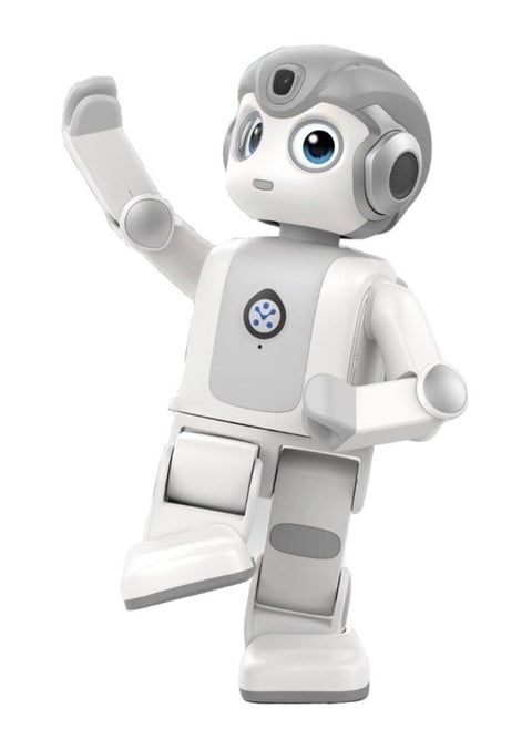 Programmable Intelligent Humanoid Robot For Entertainment Education Companion New year Gift Present Toy robot