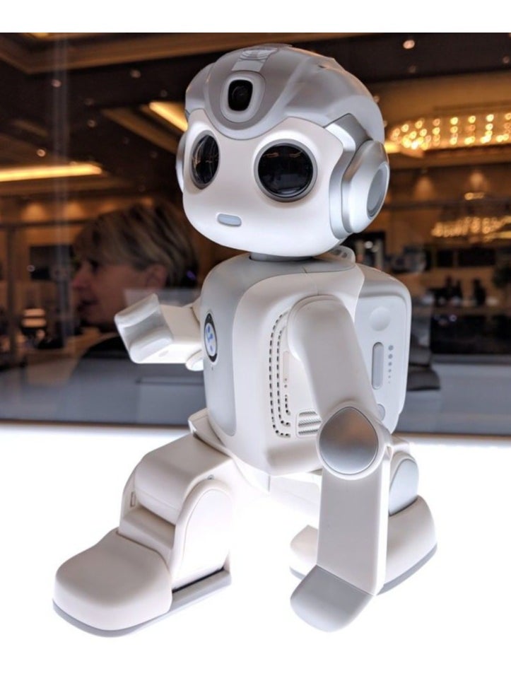 Programmable Intelligent Humanoid Robot For Entertainment Education Companion New year Gift Present Toy robot