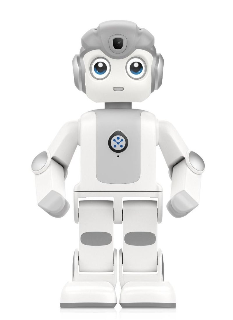 Programmable Intelligent Humanoid Robot For Entertainment Education Companion New year Gift Present Toy robot