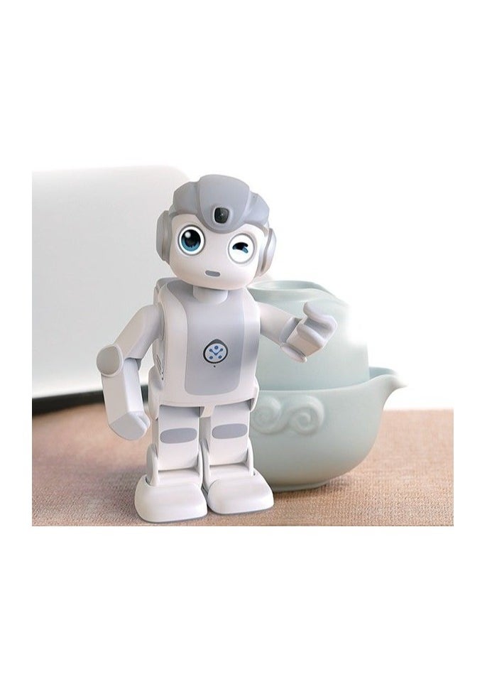 Programmable Intelligent Humanoid Robot For Entertainment Education Companion New year Gift Present Toy robot