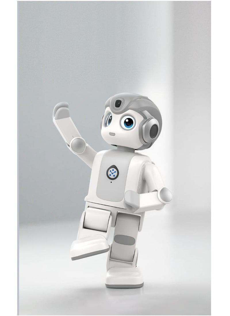 Programmable Intelligent Humanoid Robot For Entertainment Education Companion New year Gift Present Toy robot