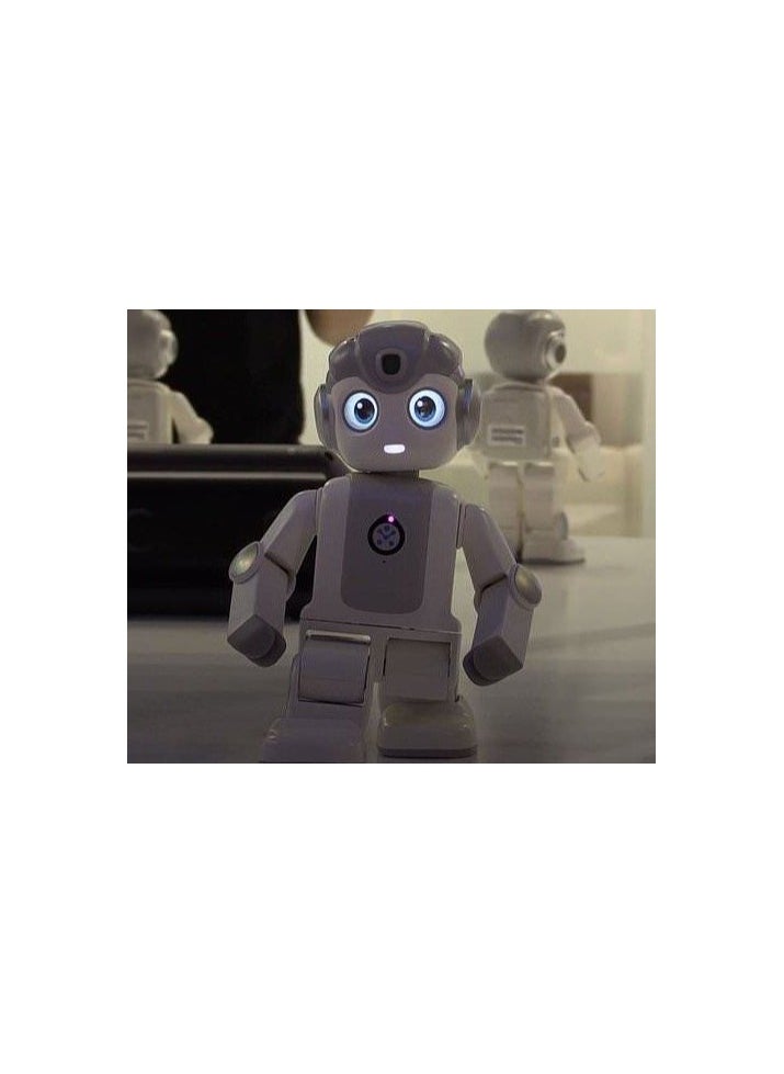 Programmable Intelligent Humanoid Robot For Entertainment Education Companion New year Gift Present Toy robot