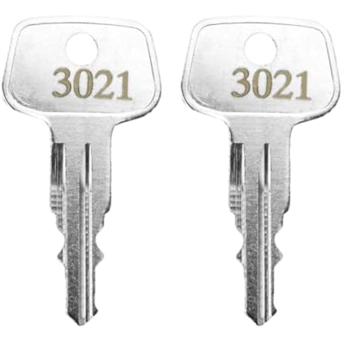 rayihni 3021 X-Cargo Roof Rack Key,Replacement Keys for Sears XCargo Karrite SportRack Carriers,XCargo Luggage Roof Key Karrite Ski Bike xcargo Carrier Skyline Sportrack XL(Code 3021-2 pcs) - Image 1