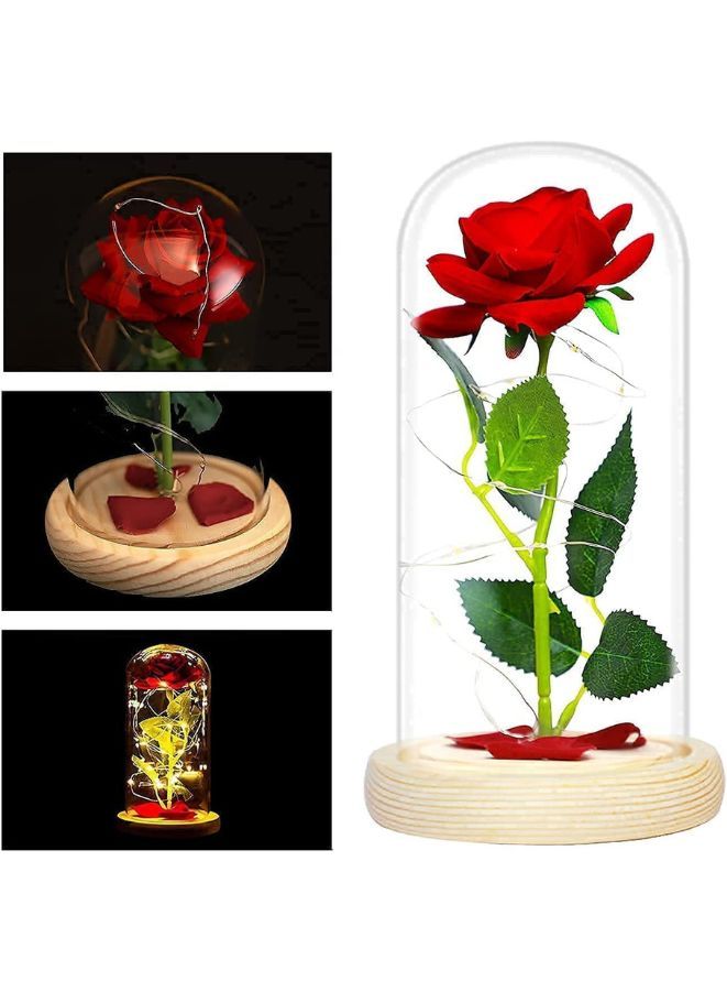 Enchanted Red Rose with Petals in Glass Dome Personalized Gifts for Women Girlfriend  Mother’s Day Anniversary Birthday - Image 3