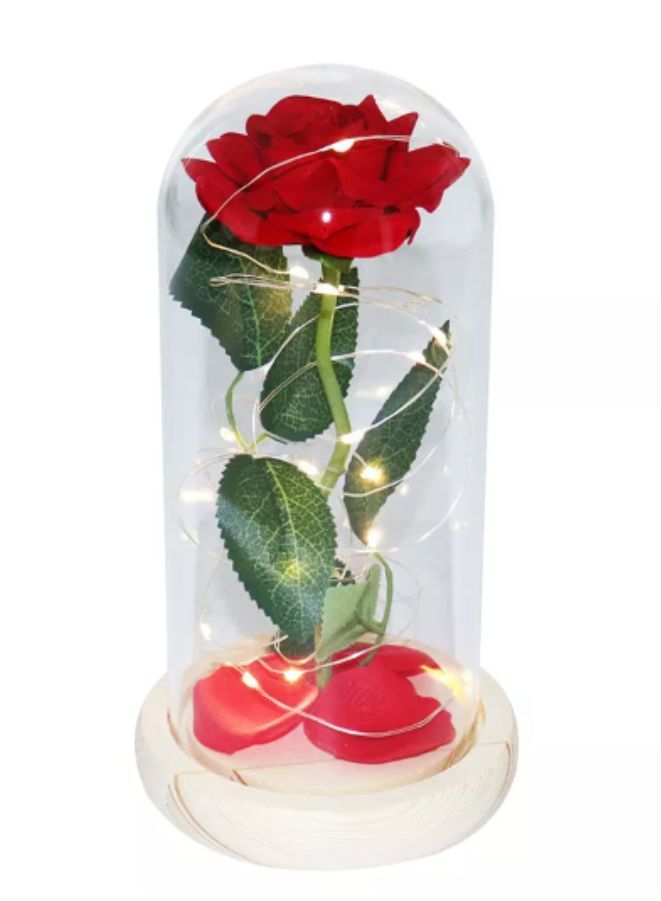 Enchanted Red Rose with Petals in Glass Dome Personalized Gifts for Women Girlfriend  Mother’s Day Anniversary Birthday - Image 1