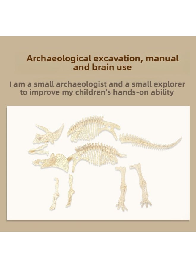 Children's Dinosaur Fossil Archaeological Digging Toy Boy Digging Specimen Handmade Diy Tyrannosaurus Rex Skeleton Assembled Model-Color:K757 Triceratops  - Image 5