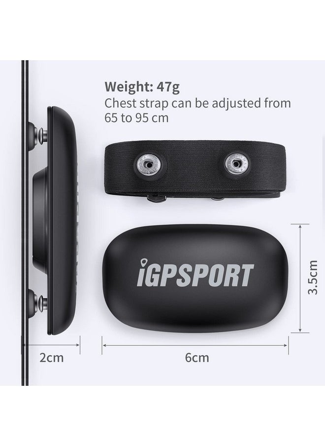 Igpsport - Hr40 Heart Rate Monitor Bluetooth & Ant+ With Chest Strap For Running Cycling Gym And Compatible With Garmin Polar Wahoo - Image 1