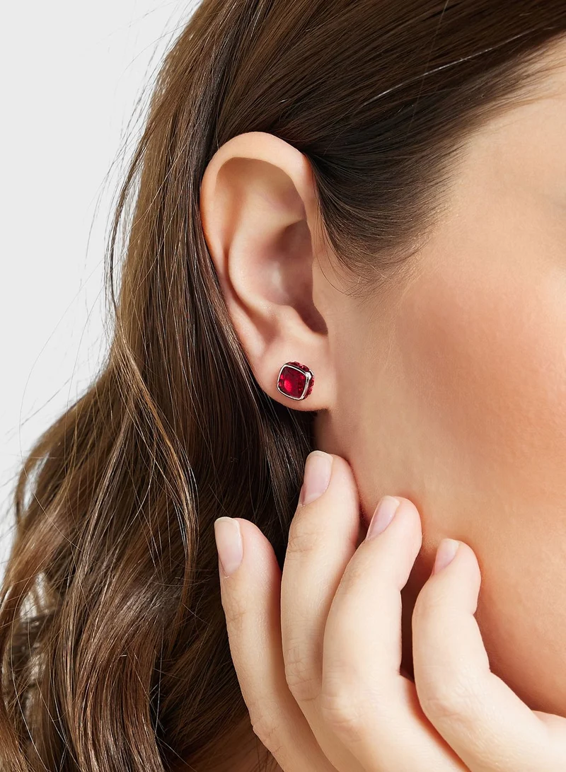 SWAROVSKI January Birthstone Stud Earrings