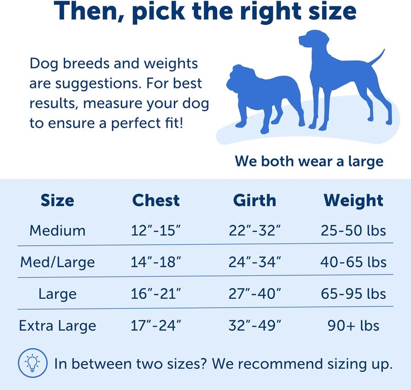 PetSafe Easy Walk Dog Harness - No Pull Design, Red/Black, Medium Size - Image 5