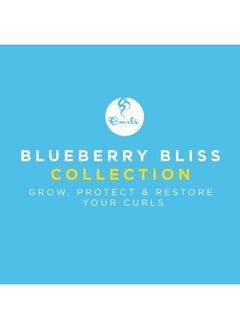 Curls Blueberry Bliss Reparative Leave In Conditioner, 8 Fl Oz (Pack of 2)  - Image 3