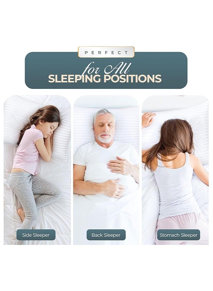 Comfy طقم مريح من 2 وسادة قطنية فاخرة بيضاء مخططة مضادة للحساسية - Image 4