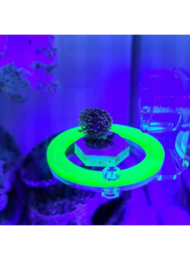 kcrygogo Coral Frag Holder Acrylic Coral Rack with Powerful Suction Cup Suitable for Household Fish Tanks (4pcs Fluorescent Four-Color Single-Hole Acrylic Stand) - Image 2