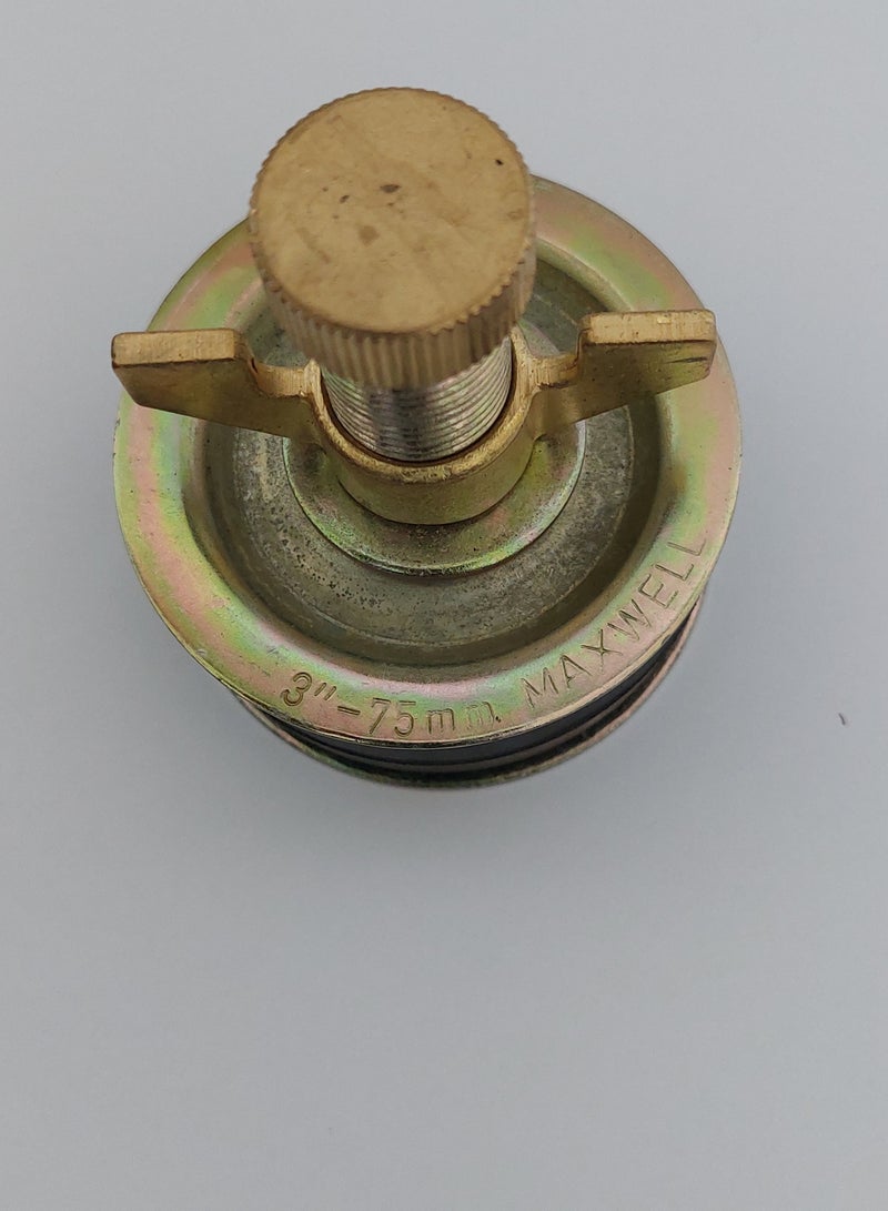 MAXWELL Drain Test Plug 3 Inch (75 Mm) With Brass Cap And Brass Wing Nut - Image 2