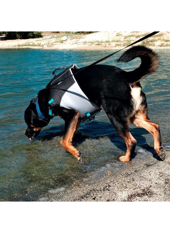 ZippyPaws - Adventure Dog Lifejacket, Swimming Vest for Dogs & Puppies, Life Jacket for Swim Training Small Medium & Large Dogs - Teal, XX-Small - Image 1