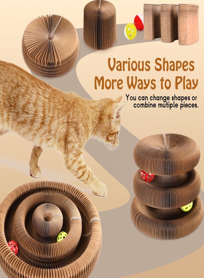 Dosanlues Double-Layer Cat Track Ball Toy, Cat Ball Adventure The Ultimate Interactive Mental Physical Exercise for Indoor Cats Toy - Image 3