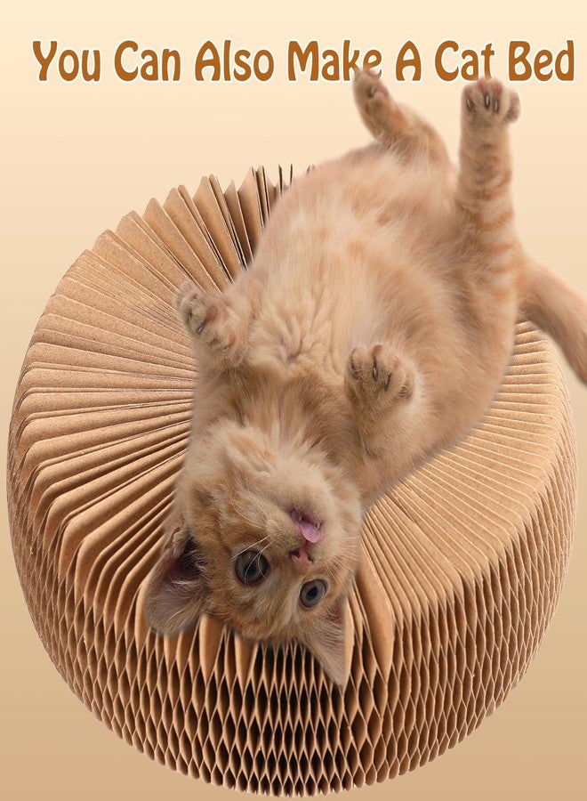 Dosanlues Double-Layer Cat Track Ball Toy, Cat Ball Adventure The Ultimate Interactive Mental Physical Exercise for Indoor Cats Toy - Image 5