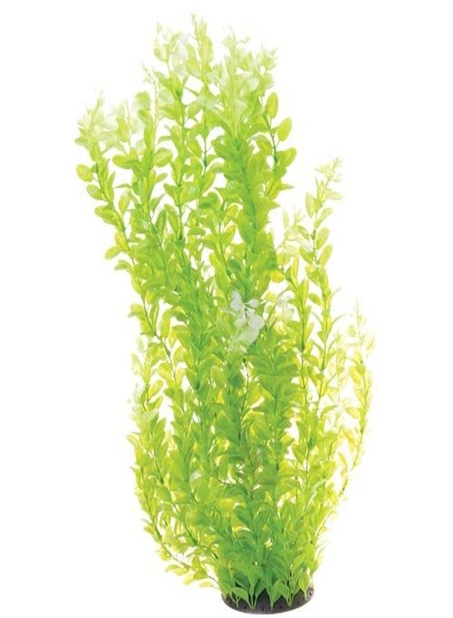 Underwater Treasures 20771 White Tipped Cardamine - Image 2
