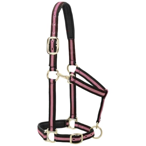 Weaver Equine Weaver Leather Nylon Horse Halter, Padded and Adjustable, Chin and Throat Snap Hook Halters for Horses, Brass Plated Halters for Training - Image 5