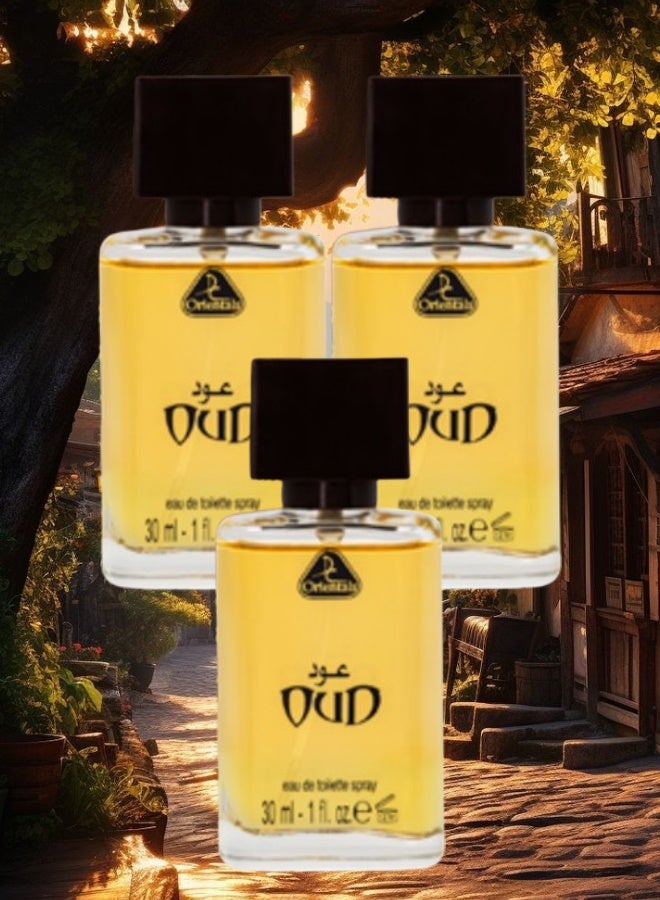 DORALL COLLECTION 3 Pieces Oud Perfume 30ML - Image 1