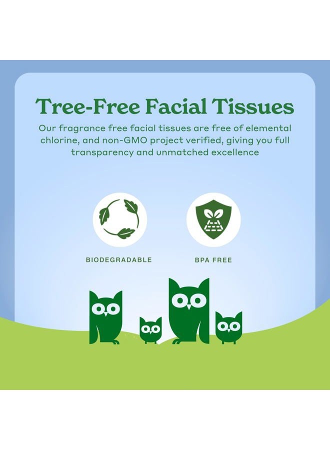 CABOO Tree Free Bamboo Facial Tissue Paper, Eco Friendly Hypoallergenic Tissue Box with 60 Sheets Per Cube, Total of 6 Cubes, 360 Total Tissues - Image 4