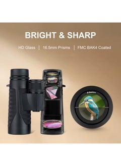 Adasion 12x42 HD Binoculars for Adults with Universal Phone Adapter - High Power Binoculars with Super Bright and Large View- Lightweight Waterproof Binoculars for Bird Watching Hunting Outdoor Sports Travel  - Image 2