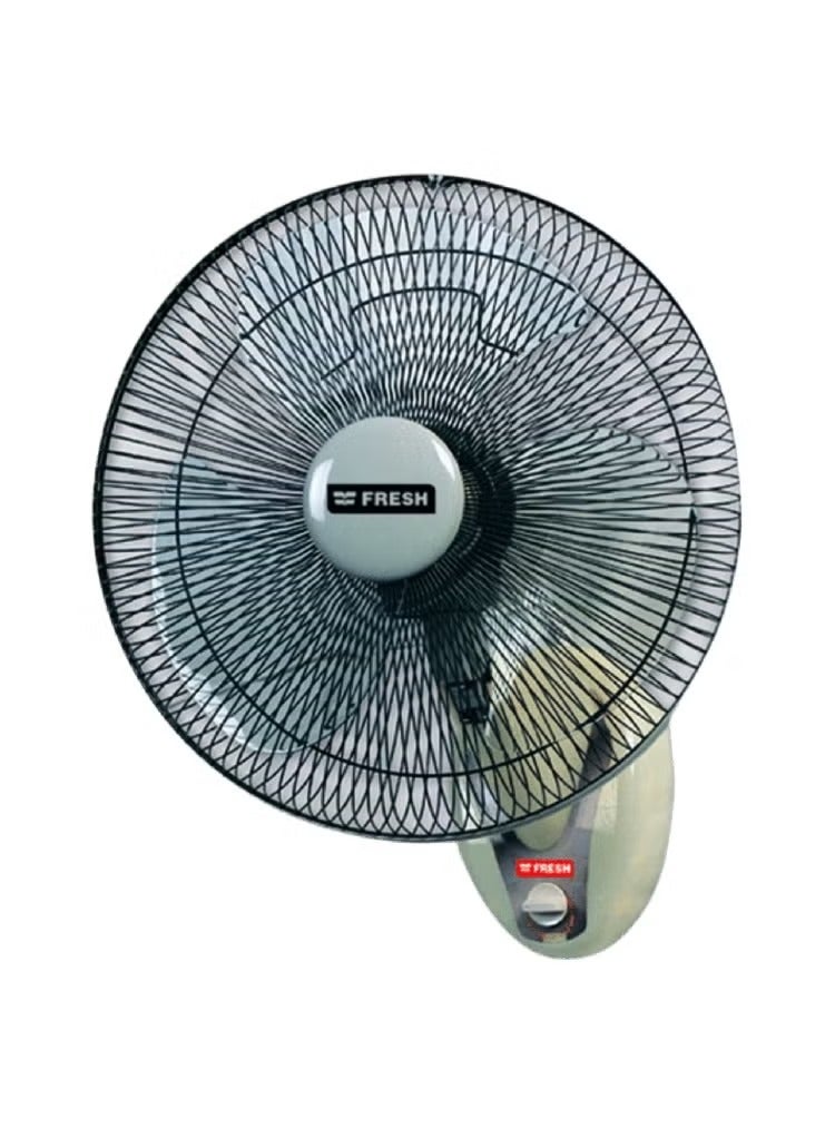 Fresh wall fan, 16-inch, with tensioner 500019901