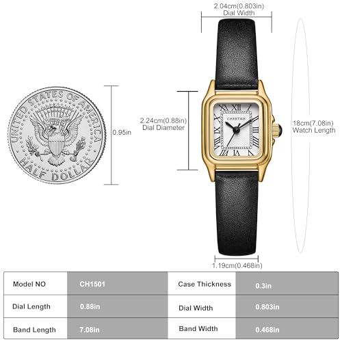 CHEETAH Women’s Leather Strap Watch, with Silver-Tone Small Vintage Rectangular Case, Roman Dial - Image 3