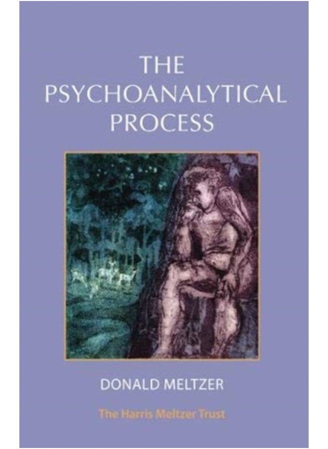 The Psychoanalytical Process - Paperback - pzsku/Z445B60D3BC7CA828FB6CZ/45/_/1690971144/5d39085f-3f1c-4cf0-a462-9131f1c9fedf