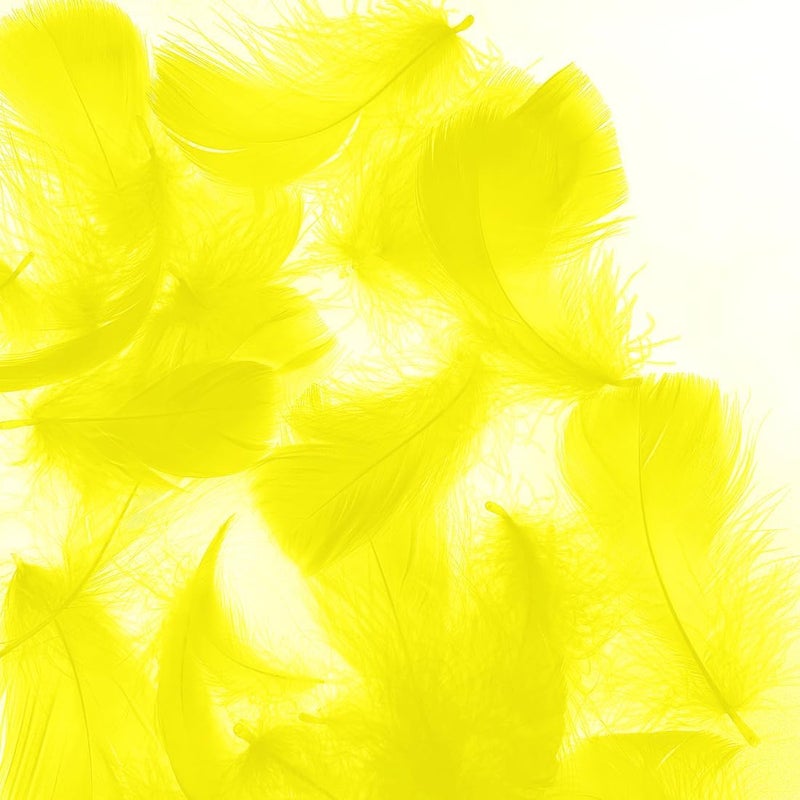 Flying feathers Yellow 600pcs Colorful Feathers 20 Colors Craft Feathers 3-5 Inches Assorted Rainbow Colors Feathers for Kids Handmade Wedding DIY Decorations Natural Feather - Image 1