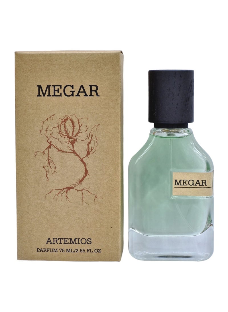 ARTEMIOS - MEGAR EDP 100 ML - Image 1