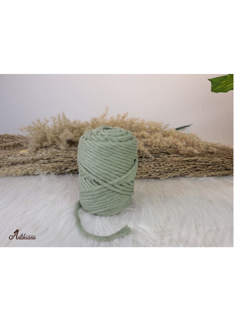 انتيكيانو خيط محلول مكون من بكرة واحدة 250 جرام - Image 2