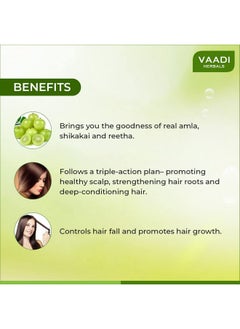 VAADI HERBALS Vaadi Herbals Hair fall and Damage Control Amla Shikakai Shampoo, 350ml (Pack of 3)  - Image 2