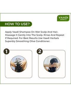 VAADI HERBALS Vaadi Herbals Hair fall and Damage Control Amla Shikakai Shampoo, 350ml (Pack of 3)  - Image 3
