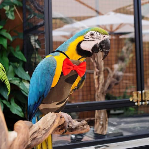 XQIGI Bird Diaper Washable Reusable Parrot Flight Suit Nappies Protective Breathable Parrot Nappy Clothes for Parakeet, Macaw, Budgie, Canary, Cockatiel (Camouflage, Large) - Image 3