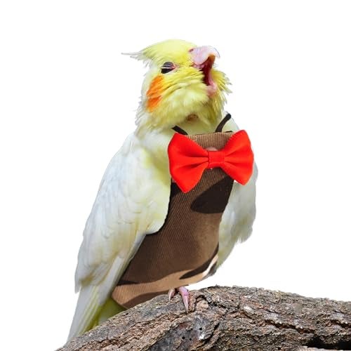 XQIGI Bird Diaper Washable Reusable Parrot Flight Suit Nappies Protective Breathable Parrot Nappy Clothes for Parakeet, Macaw, Budgie, Canary, Cockatiel (Camouflage, Large) - Image 1