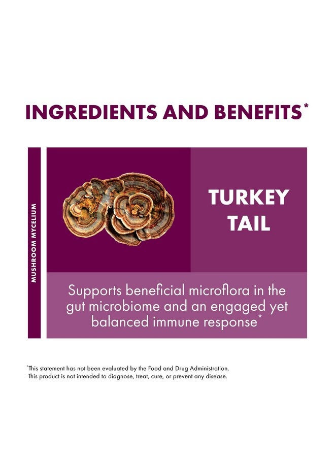 Host Defense Turkey Tail Capsules - Digestive Health & Immune Response Support Supplement - Mushroom Supplement for Gastrointestinal & Gut Microbiome Support - 120 Capsules (60 Servings)* - Image 4