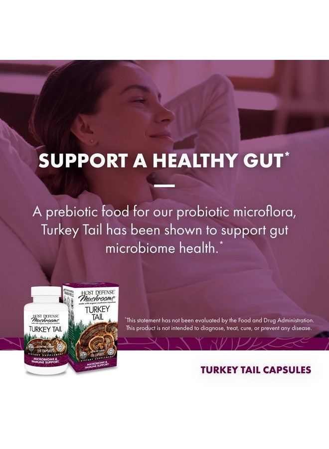 Host Defense Turkey Tail Capsules - Digestive Health & Immune Response Support Supplement - Mushroom Supplement for Gastrointestinal & Gut Microbiome Support - 120 Capsules (60 Servings)* - Image 3