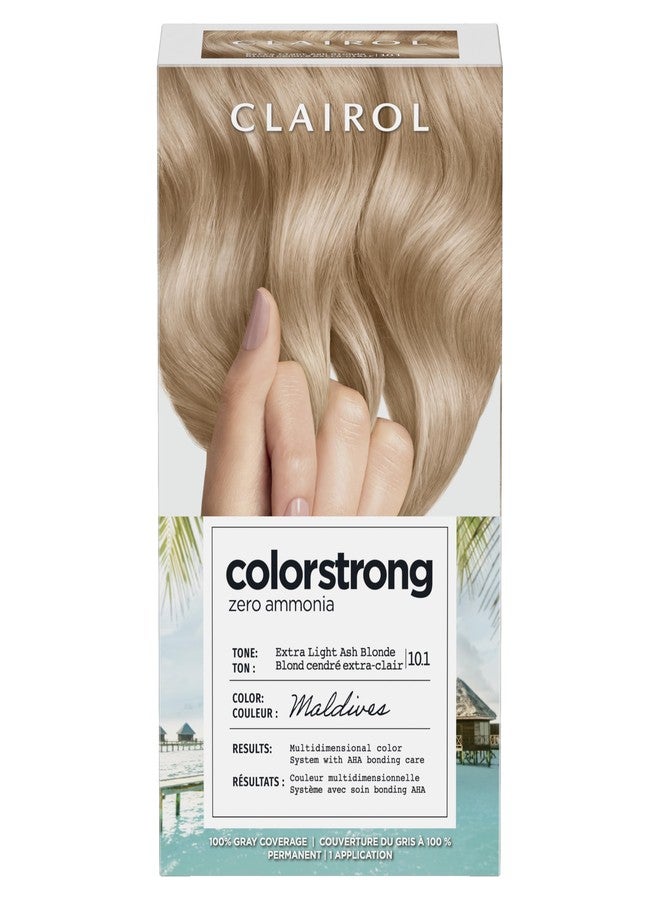 Clairol ColorStrong Permanent Hair Dye Ammonia-Free, 10.1 Light Ash Blonde - Image 1