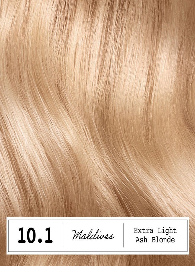 Clairol ColorStrong Permanent Hair Dye Ammonia-Free, 10.1 Light Ash Blonde - Image 2